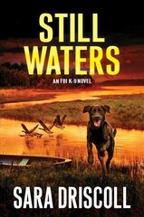 Still Waters: A Riveting Novel of Suspense цена и информация | Фантастика, фэнтези | kaup24.ee