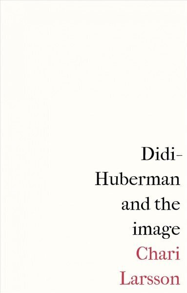 Didi-Huberman and the Image цена и информация | Kunstiraamatud | kaup24.ee