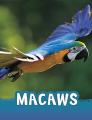 Macaws цена и информация | Книги для подростков и молодежи | kaup24.ee