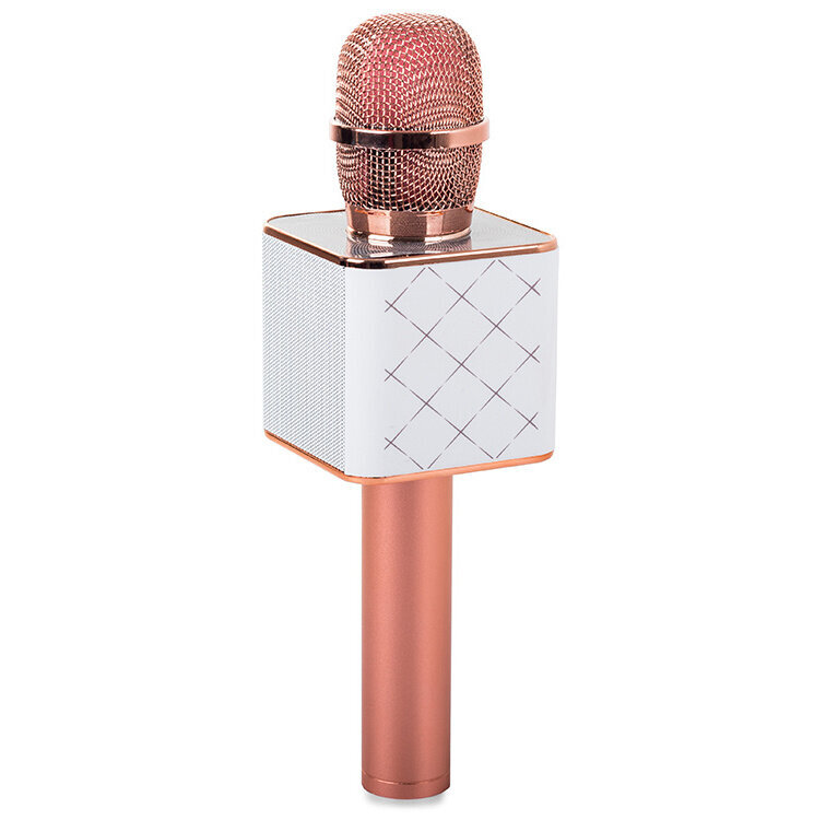 Juhtmeta karaokemikrofon hind ja info | Mikrofonid | kaup24.ee