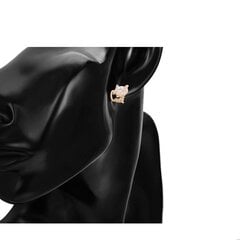 Õrnad kullatud Kitten kõrvarõngad valgete tsirkoonidega hind ja info | Kõrvarõngad | kaup24.ee
