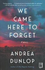 We Came Here to Forget: A Novel hind ja info | Fantaasia, müstika | kaup24.ee