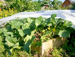 Külmumisvastane agrokile 1.6 x10 m, 35 g/m2 цена и информация | Aiatööriistad | kaup24.ee