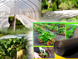 Külmumisvastane agrokile 2.1 x10 m, 35 g/m2 цена и информация | Aiatööriistad | kaup24.ee