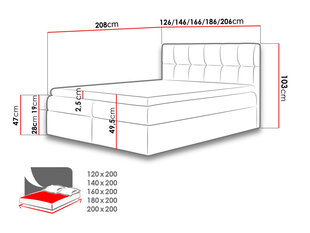 Кровать континентальная RDEST-Soft 011 (экокожа)-200x200 см цена и информация | Кровати | kaup24.ee