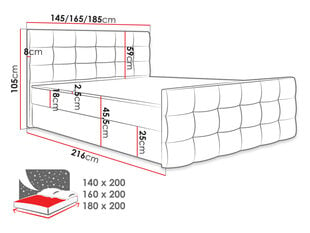 Кровать континентальная PEREGRYN 1-Rico 20-160x200 см цена и информация | Кровати | kaup24.ee