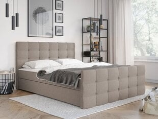 Кровать континентальная PEREGRYN 2-Rico 21-160x200 см цена и информация | Кровати | kaup24.ee
