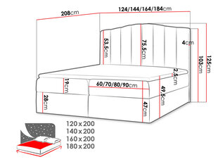 Kontinentaalvoodi BEATRIZ-Casablanca 2314-140x200 cm цена и информация | Кровати | kaup24.ee