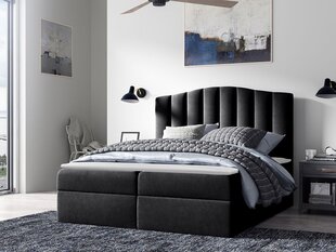 Континентальная кровать BEATRIZ-Casablanca 2316-160x200 см цена и информация | Кровати | kaup24.ee