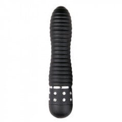 Armastus Diamond Vibrator must hind ja info | Vibraatorid | kaup24.ee