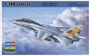 Hobby Boss F-14 A Tomcat hind ja info | Mudelautode kollektsioneerimine | kaup24.ee