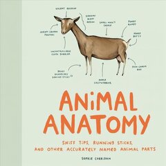 Animal Anatomy: (Funny Animal Books, Funny Anatomy Books, Humor Books for Adults) цена и информация | Энциклопедии, справочники | kaup24.ee