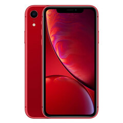 Apple iPhone XR 64GB Red (uuendatud, A) hind ja info | Telefonid | kaup24.ee