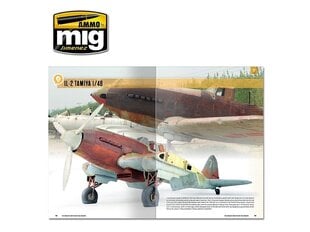 Ammo Mig - The Modeling Guide For Rust And Oxidation, 6098 hind ja info | Noortekirjandus | kaup24.ee