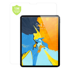 Tahvelarvuti ekraanikaitse iPad Pro 11 SCRV10T48 11" hind ja info | Tahvelarvuti lisatarvikud | kaup24.ee
