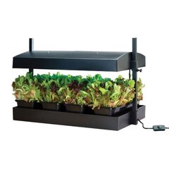 Ящик с подсветкой для выращивания Grow Light Garden 2x24w, чёрный цена и информация | Проращиватели, лампы для растений | kaup24.ee