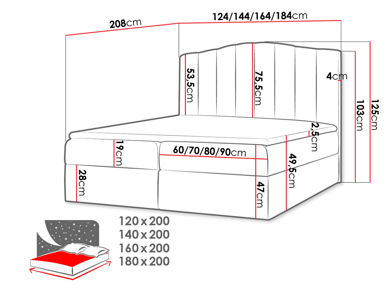 Kontinentaalvoodi BEATRIZ-ekoskóra Soft 032-140x200 cm hind ja info | Voodid | kaup24.ee