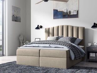 Континентальная кровать BEATRIZ-Casablanca 2303-160x200 см цена и информация | Кровати | kaup24.ee