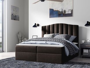 Континентальная кровать BEATRIZ-Casablanca 2308-140x200 см цена и информация | Кровати | kaup24.ee