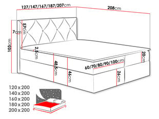 Континентальная кровать XIRIOUS-Mono 242-120x200 см цена и информация | Кровати | kaup24.ee