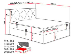 Kontinentaalvoodi XIRIOUS-Mono 242-160x200 cm цена и информация | Кровати | kaup24.ee