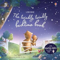 Twinkly Twinkly Bedtime Book цена и информация | Книги для малышей | kaup24.ee