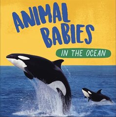 Animal Babies: In the Ocean цена и информация | Книги для подростков и молодежи | kaup24.ee