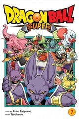 Akira Toriyama, Toyotarou hind ja info | Fantaasia, müstika | kaup24.ee