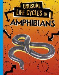 Unusual Life Cycles of Amphibians цена и информация | Книги для подростков и молодежи | kaup24.ee