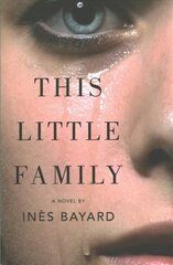 This Little Family: A Novel цена и информация | Фантастика, фэнтези | kaup24.ee