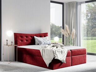 Континентальная кровать RIGMORE-Kronos 02-120x200 см цена и информация | Кровати | kaup24.ee