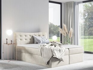 Kontinentaalvoodi RIGMORE-Fuego 170-160x200 cm hind ja info | Voodid | kaup24.ee