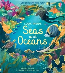 Look Inside Seas and Oceans hind ja info | Väikelaste raamatud | kaup24.ee