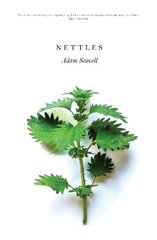 Nettles hind ja info | Fantaasia, müstika | kaup24.ee