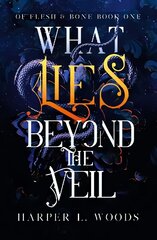 What Lies Beyond the Veil цена и информация | Фантастика, фэнтези | kaup24.ee