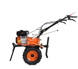 Bensiinimootoriga kultivaator ASTOR 750D Plus (täiskomplekt) hind ja info | Aeraatorid, mullafreesid | kaup24.ee