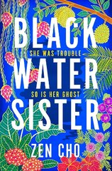 Black Water Sister цена и информация | Фантастика, фэнтези | kaup24.ee