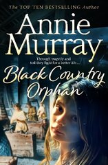 Black Country Orphan цена и информация | Фантастика, фэнтези | kaup24.ee