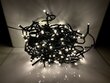 LED õuevanik, 200 Ledi, soe valge hind ja info | Jõulutuled | kaup24.ee