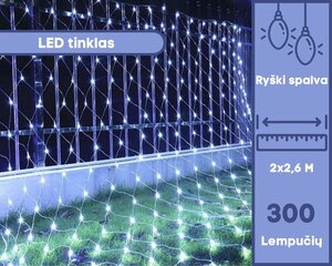 LED kardin - võrk, 160 LED, külm valge цена и информация | Гирлянды | kaup24.ee