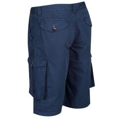 Lühikesed püksid meestele Regatta Shorebay, sinine hind ja info | Regatta Jalanõud, riided ja aksessuaarid | kaup24.ee