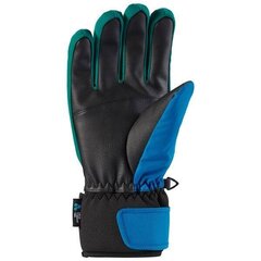 Мужские перчатки Viking Cool Daddy - мульти синий цена и информация | Мужская лыжная одежда | kaup24.ee