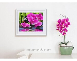 Värvimiskomplekt numbrite järgi 40x50 cm, Collection D'Art, PBN-B081 цена и информация | Живопись по номерам | kaup24.ee