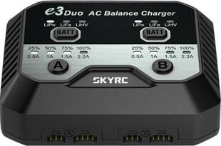 Зарядное устройство SkyRC 89172 цена и информация | Зарядные устройства для аккумуляторов | kaup24.ee