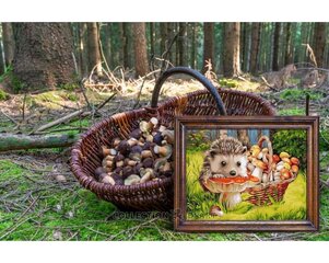 Värvimiskomplekt numbrite järgi 40x50 cm, Collection D'Art, PBN-H118 hind ja info | Maalid numbri järgi | kaup24.ee