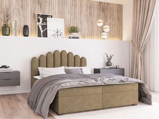 Континентальная кровать BERETINI-Itaka 48-160x200 см цена и информация | Кровати | kaup24.ee