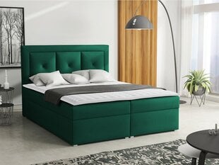 Кровать континентальная KOAY PLUS BOX-Kronos 19 (ткань)-160x200 см цена и информация | Кровати | kaup24.ee