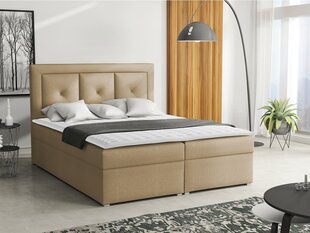 Kontinentaalvoodi KOAY PLUS BOX-Victoria 14 853-160x200 cm hind ja info | Voodid | kaup24.ee