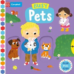 Busy Pets цена и информация | Книги для подростков и молодежи | kaup24.ee