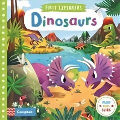 Dinosaurs Main Market Ed. hind ja info | Väikelaste raamatud | kaup24.ee